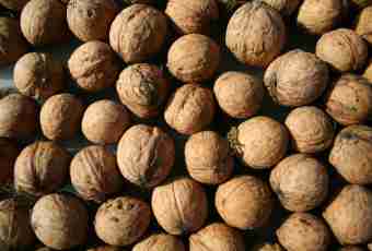 How to grow up walnut from nut