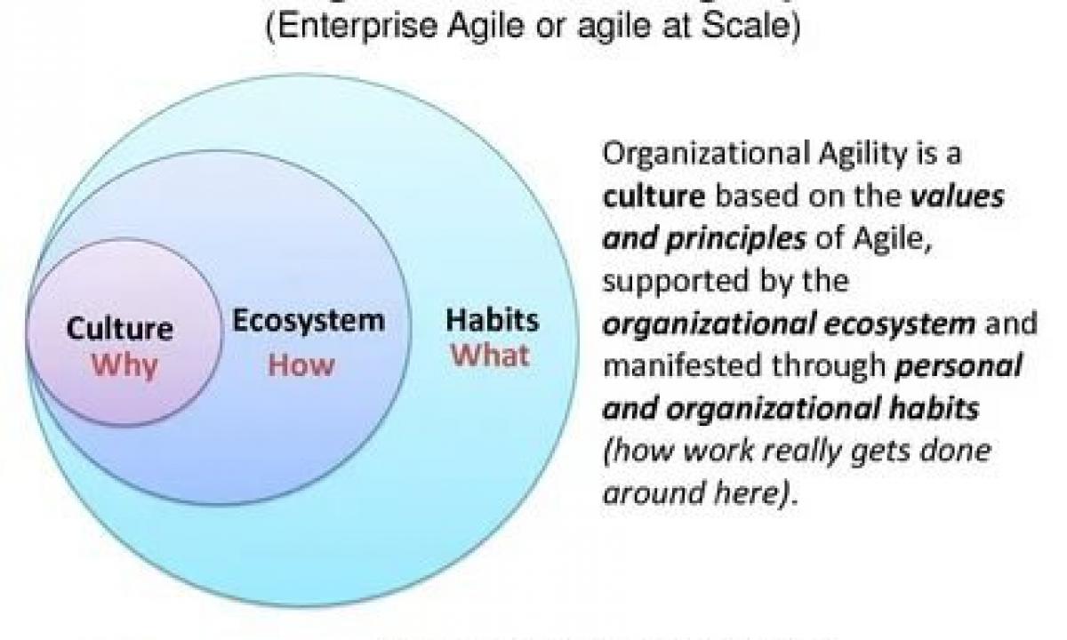 Types of organizational culture