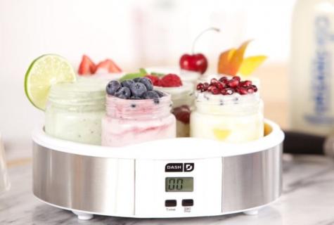 How to choose the yogurt maker – what it is important to know?