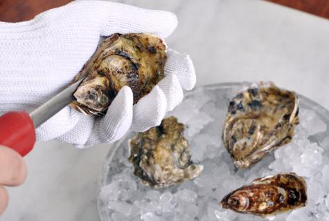 How to open an oyster?