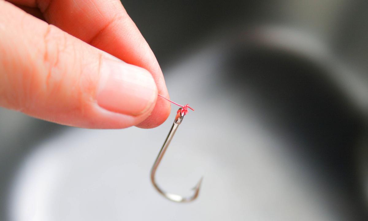 How to hook fish without rod?