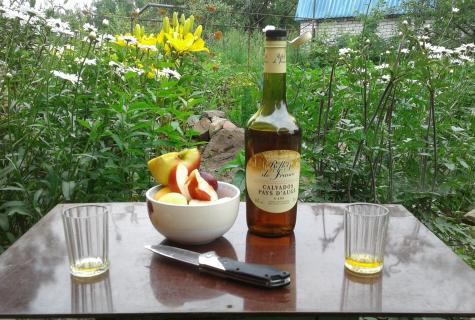 How it is correct to drink a Calvados?