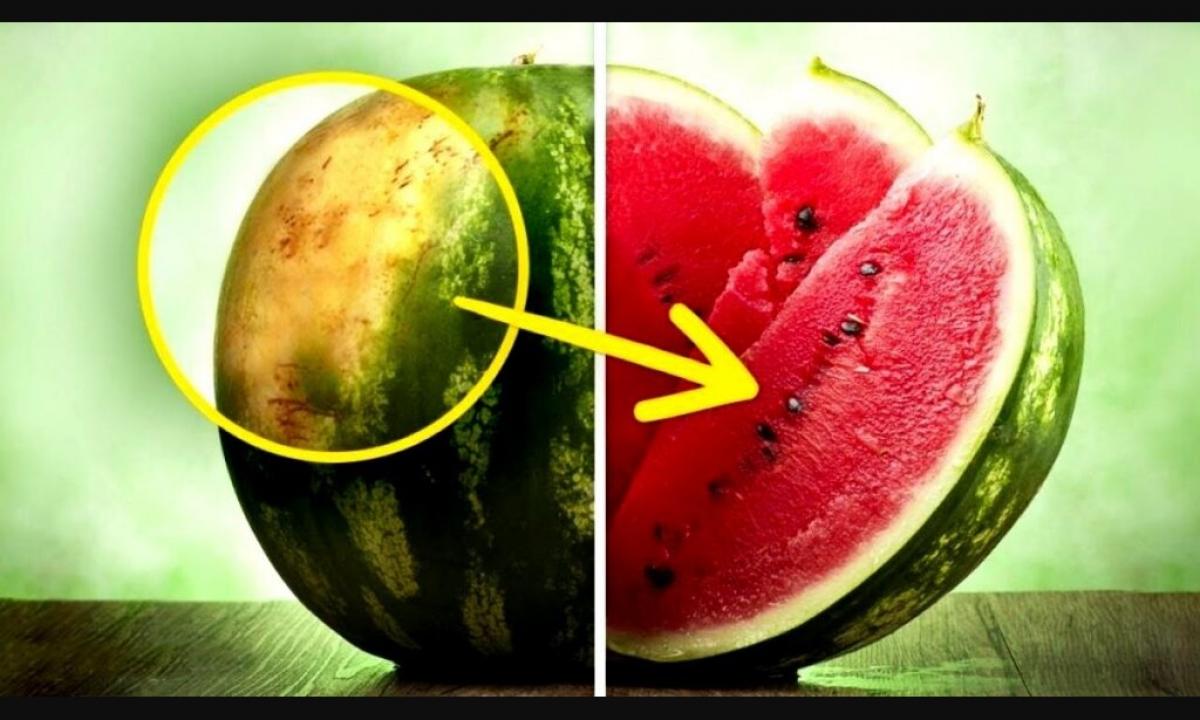 How it is correct to choose a melon?