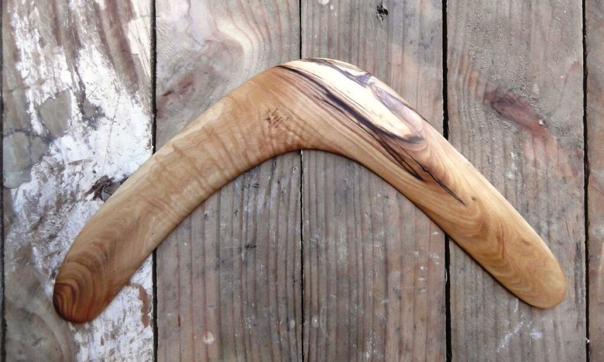 How to make a boomerang of a tree?