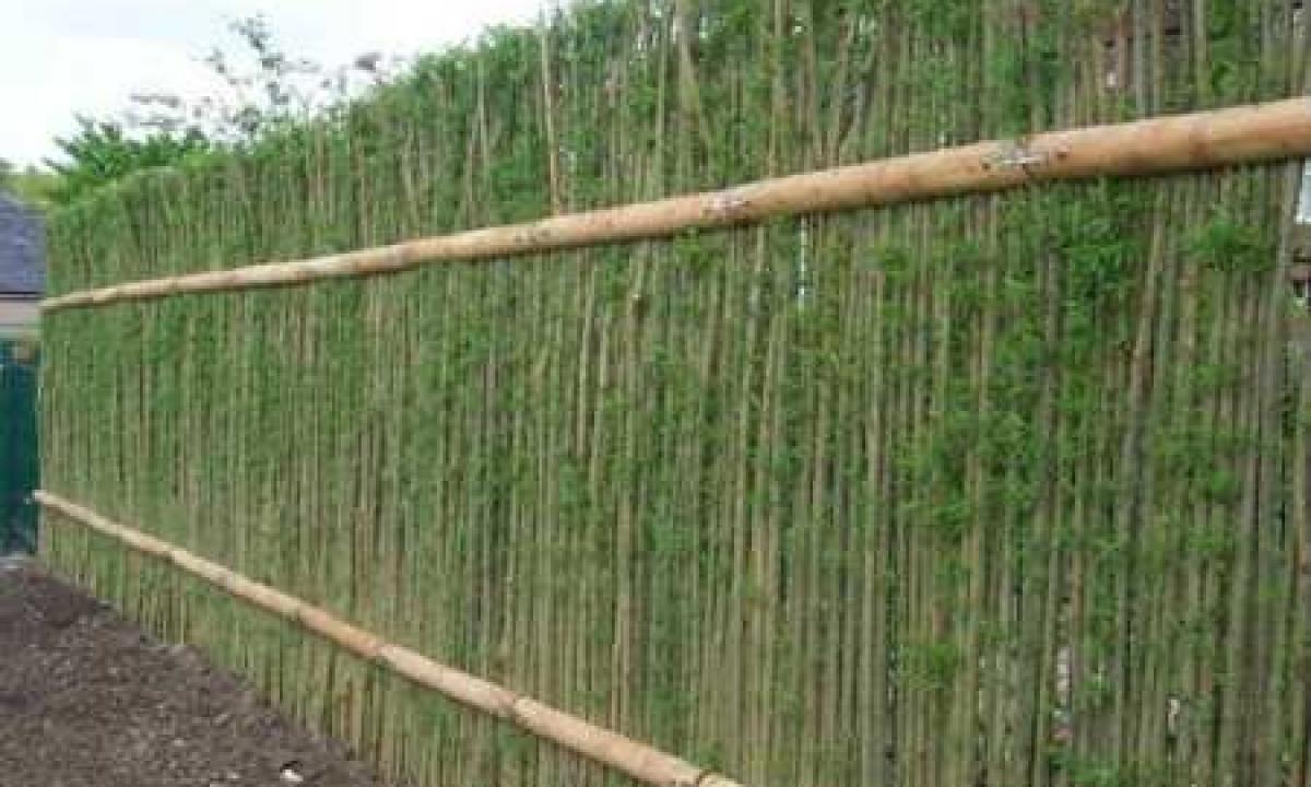 How to make a wattled fence with own hands?
