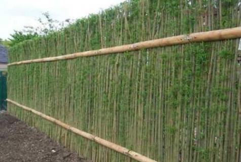 How to make a wattled fence with own hands?