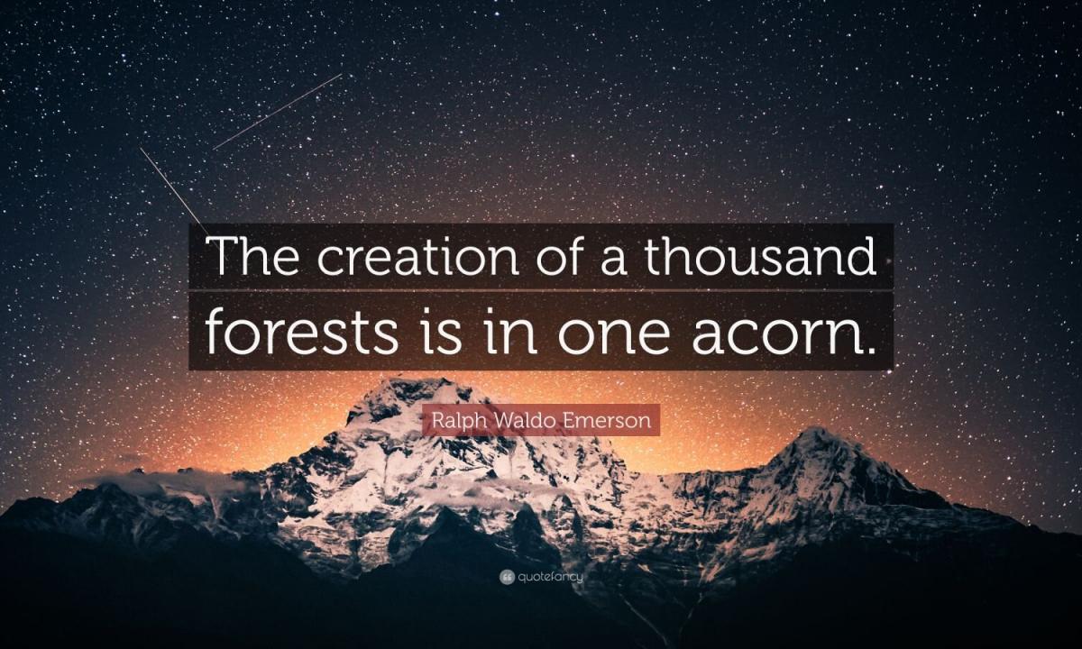 What cannot be done in the forest?