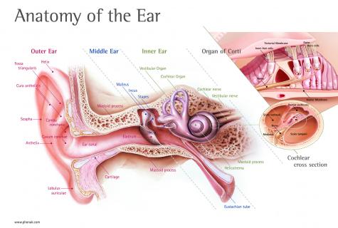 Stuffed up an ear - what to do in house conditions?
