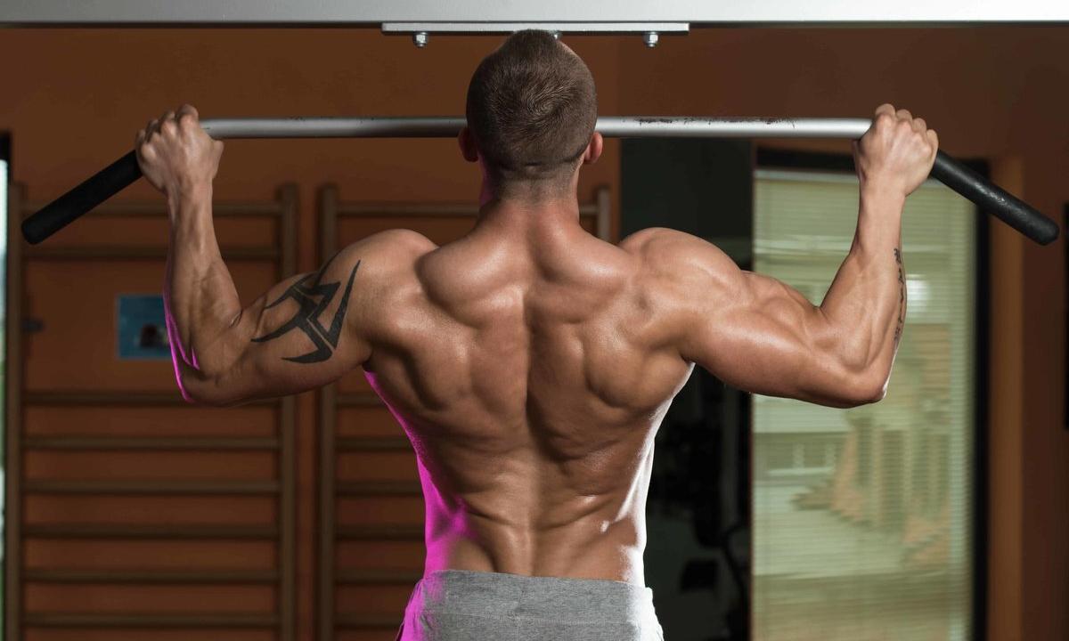 What muscles work at pulling up?