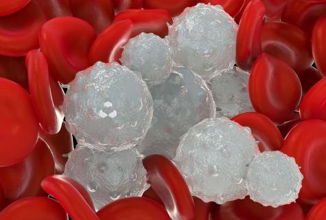 How quickly to raise platelets in blood?