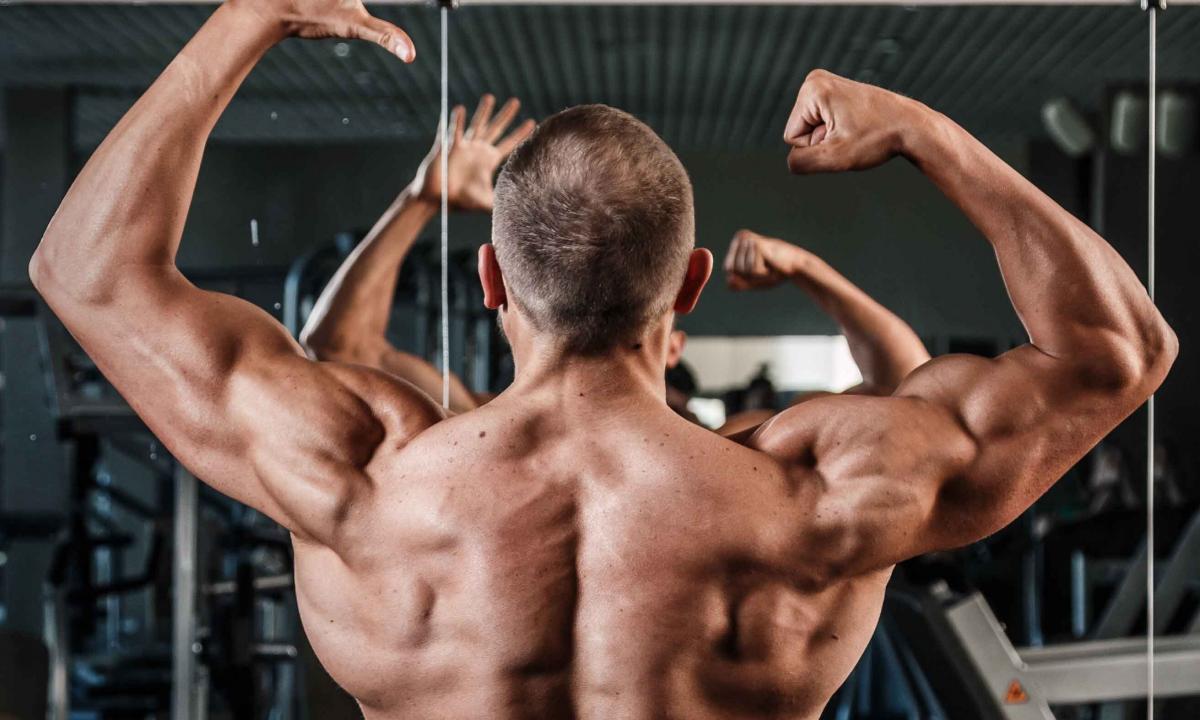 How do muscles grow?