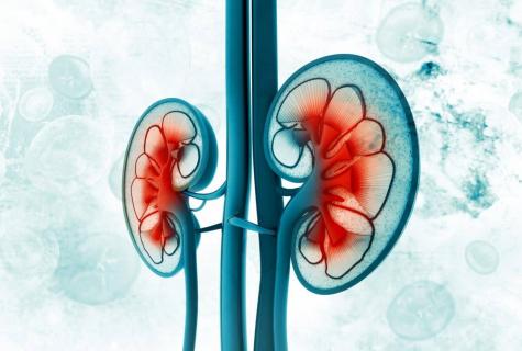 How to improve work of kidneys?