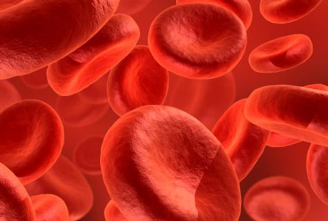How to raise hemoglobin in blood?