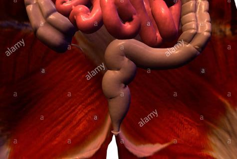 How to improve an intestines vermicular movement?