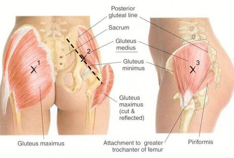 How to pump up an average gluteus?