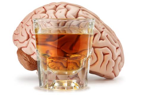 Negative impact of alcohol on a brain of the person