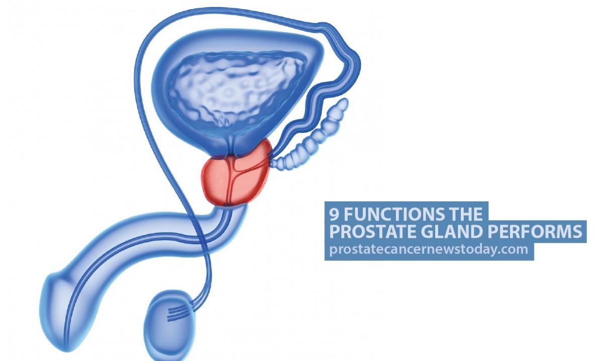 Massage of a prostate - advantage and harm
