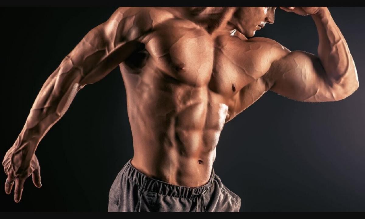 Peptides for growth of muscles