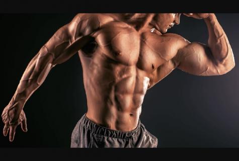 Peptides for growth of muscles