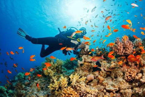 Snorkeling - a fascinating type of scuba diving
