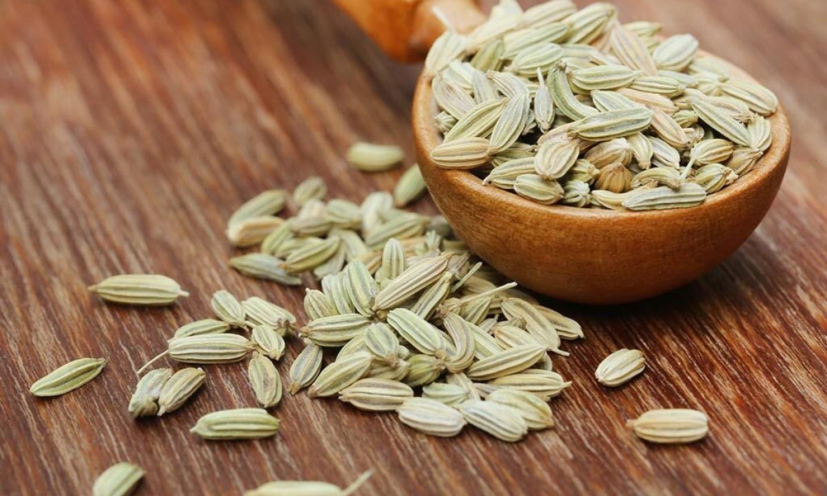 Than fennel is useful to men?