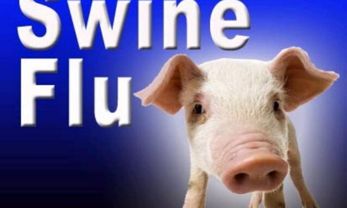 What to do not to ache with swine flu?