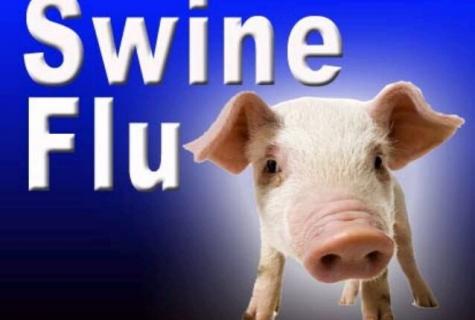 What to do not to ache with swine flu?