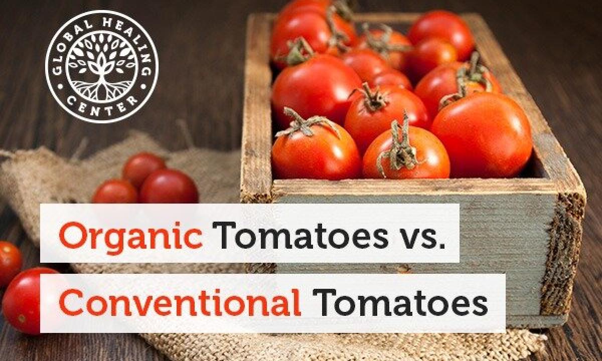 Than tomatoes are useful to men?