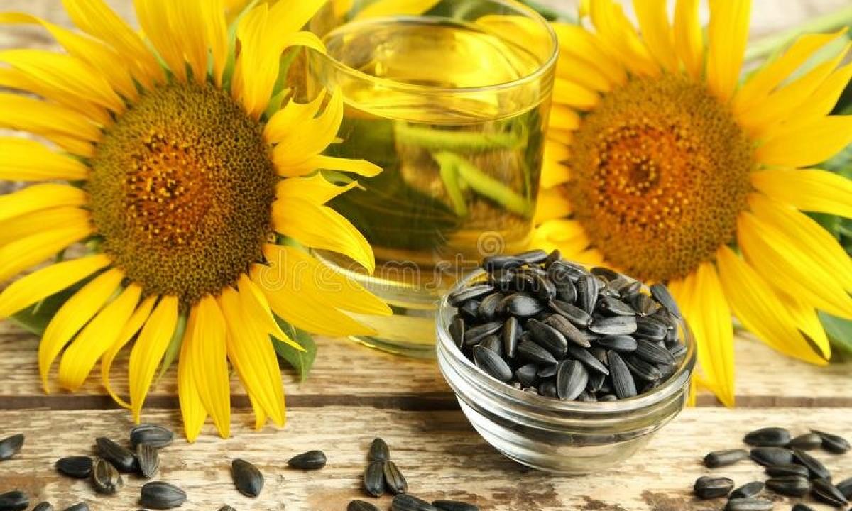Sunflower sunflower seeds - advantage and harm for men
