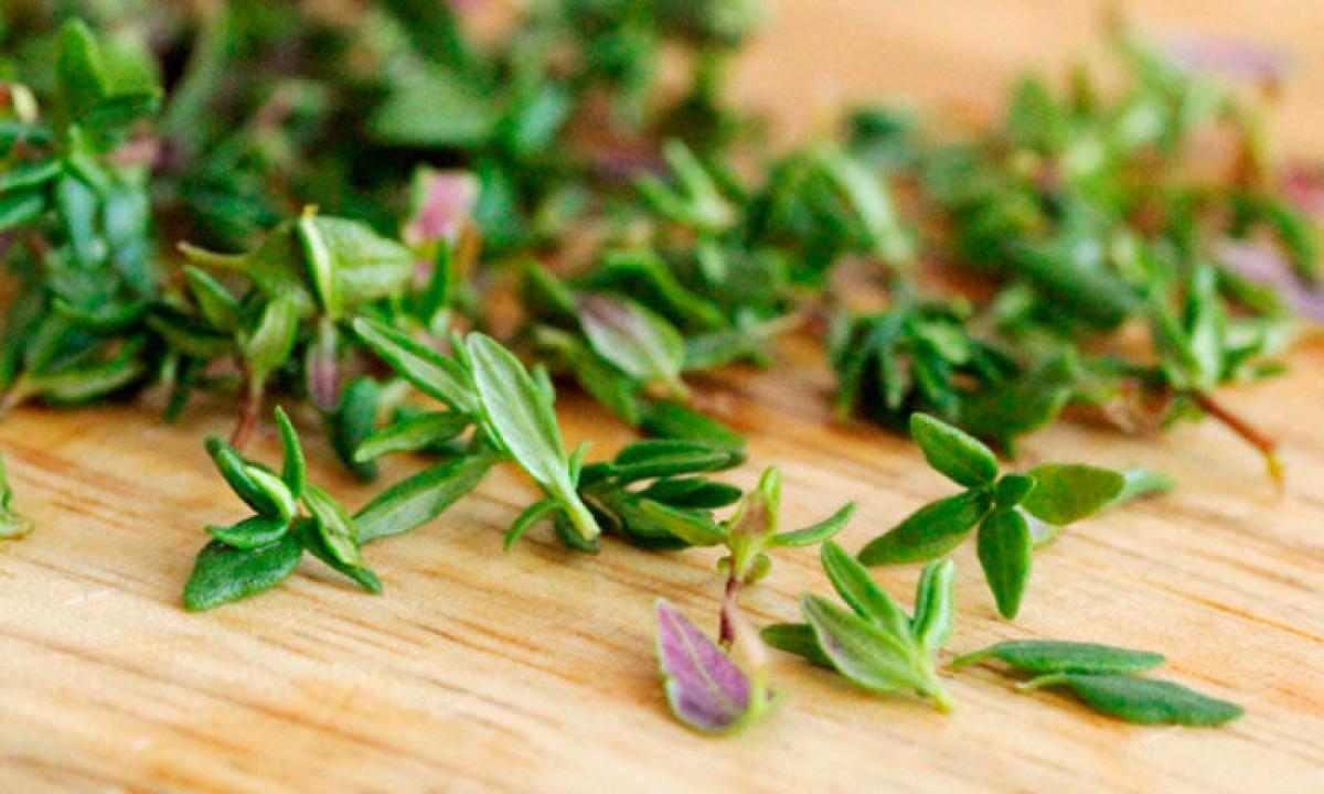 Thyme – useful properties for men