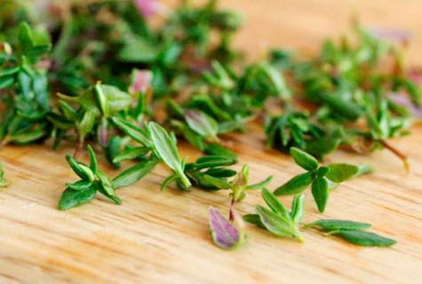 Thyme – useful properties for men