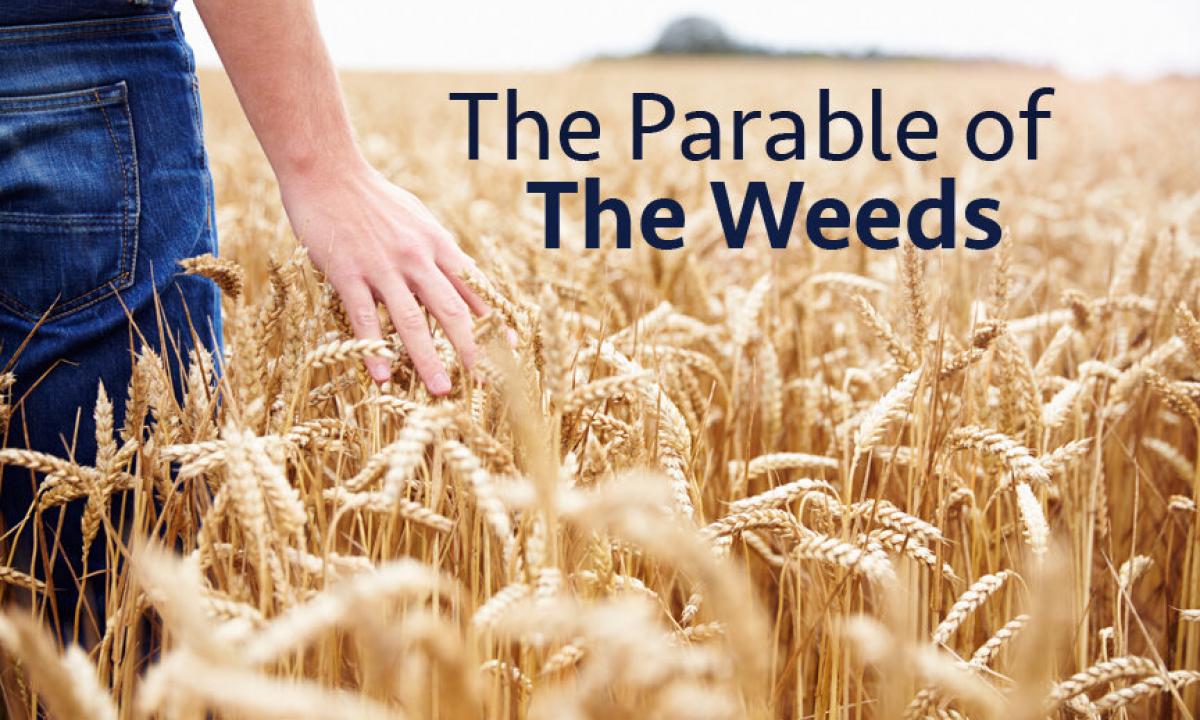 The parable about health