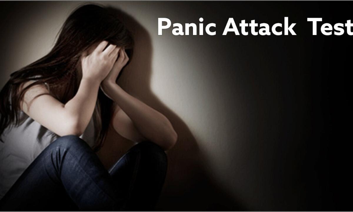 Syndrome of the panic attack