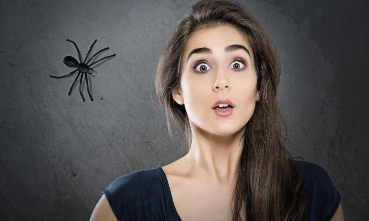Phobias and how to fight with them?