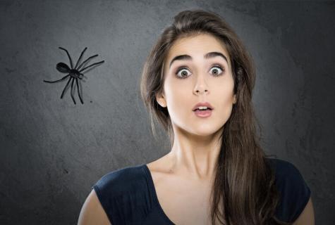 Phobias and how to fight with them?