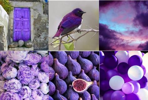 Violet color in psychology