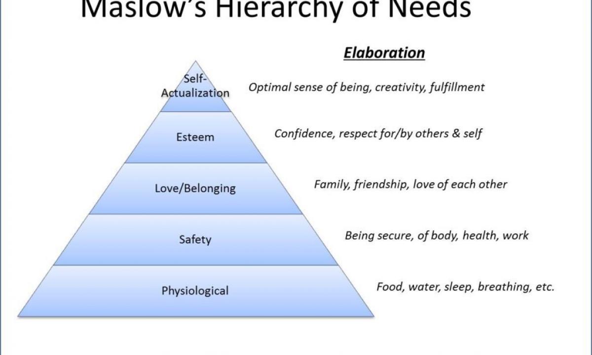 Physiological needs of the person
