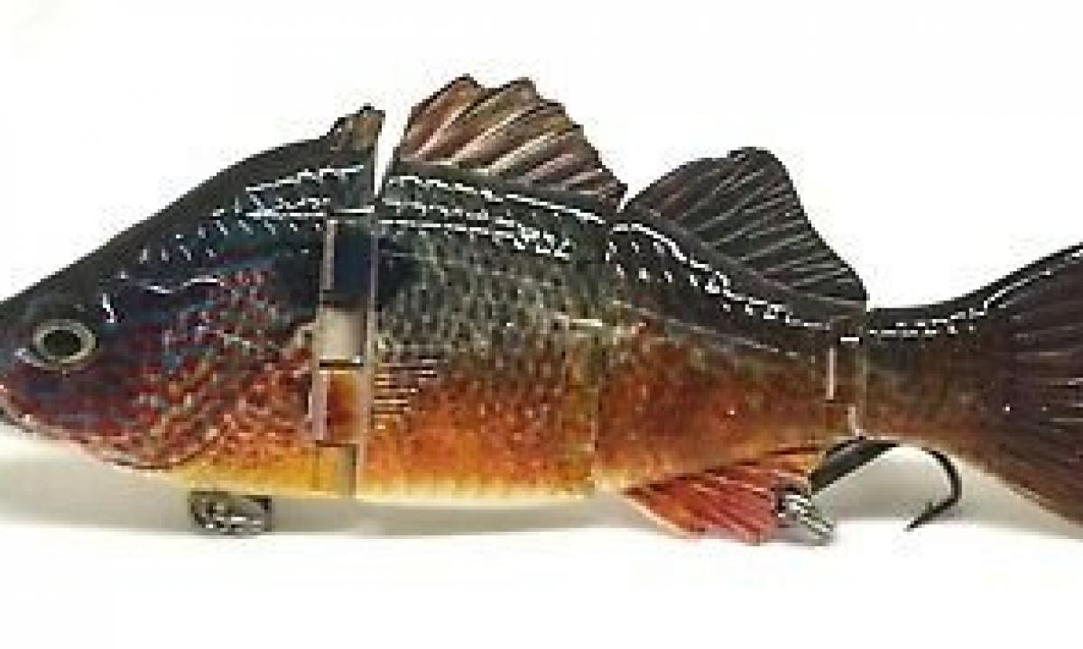 Fish pike perch: description and advantage, contraindications