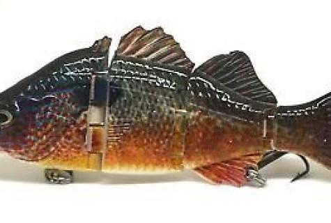 Fish pike perch: description and advantage, contraindications