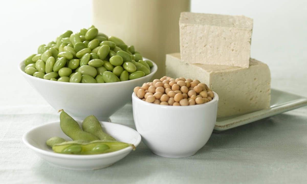 Soy — meat substitute for vegetarians: structure and caloric content