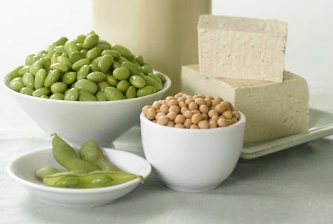 Soy — meat substitute for vegetarians: structure and caloric content
