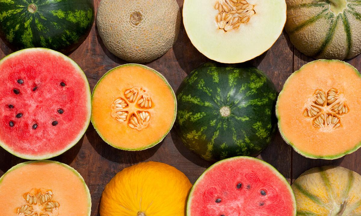 All about a melon: than it is useful how to choose how to use