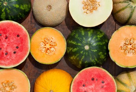 All about a melon: than it is useful how to choose how to use