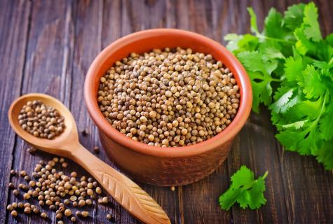 Coriander: what is it, useful properties of seasoning and contraindication