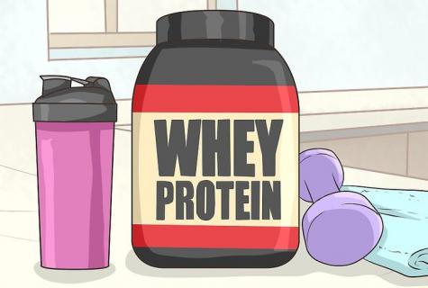 As it is correct to drink a protein: councils for beginners