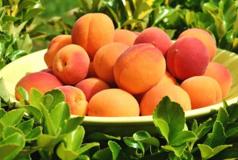 Economic value, the chemical composition and storage in house conditions of apricots
