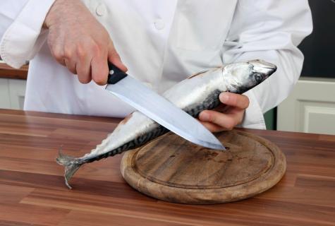 "Preparation secrets, advantage and harm of fish of a hoka (whiptail)