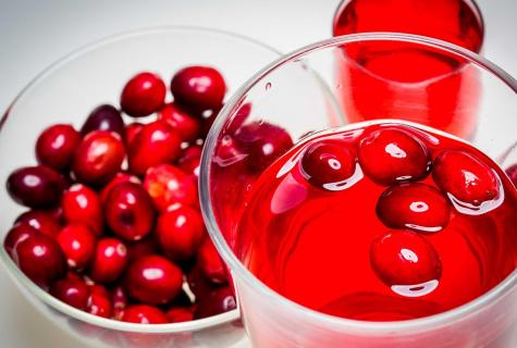 Than the cranberry is useful: application and contraindications