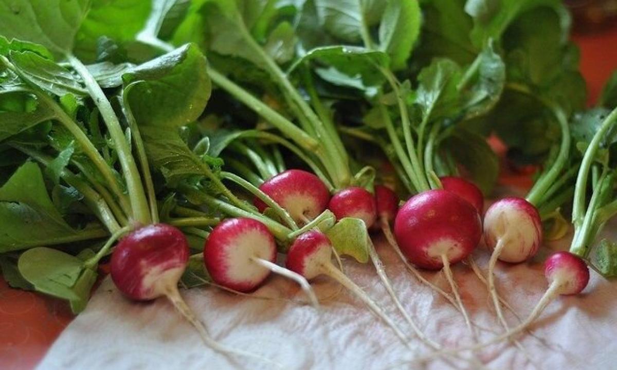 Properties of a garden radish and advantage to an organism