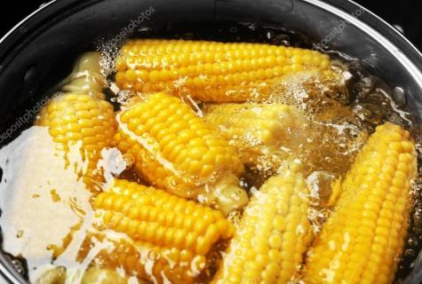 Than boiled corn is useful to the person